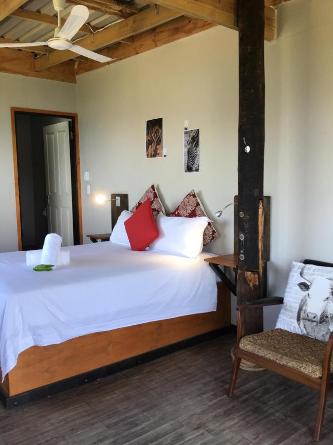 Coram Deo Saltywaves Double En-Suite Rooms With Sea Views Coffee Bay Exteriér fotografie