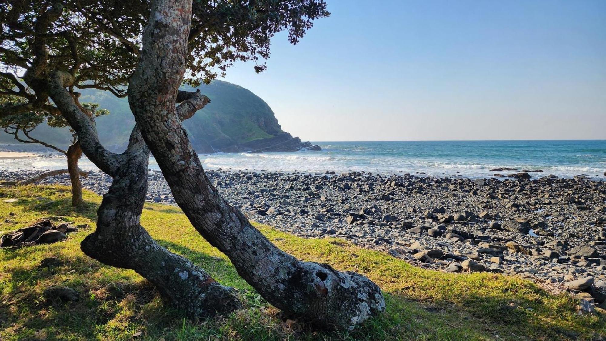 Coram Deo Saltywaves Double En-Suite Rooms With Sea Views Coffee Bay Exteriér fotografie